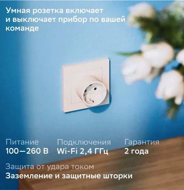 Розетка умная Sber