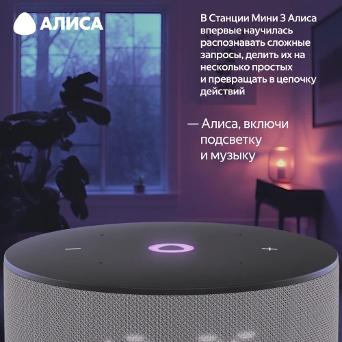 Колонка умная Яндекс Станция Мини 3 с Алисой на YaGPT серая