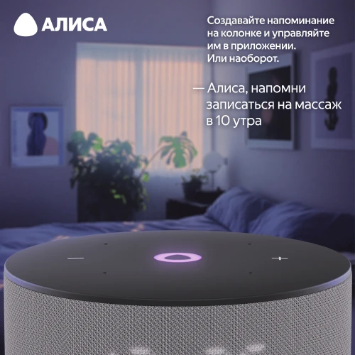 Колонка умная Яндекс Станция Мини 3 с Алисой на YaGPT серая