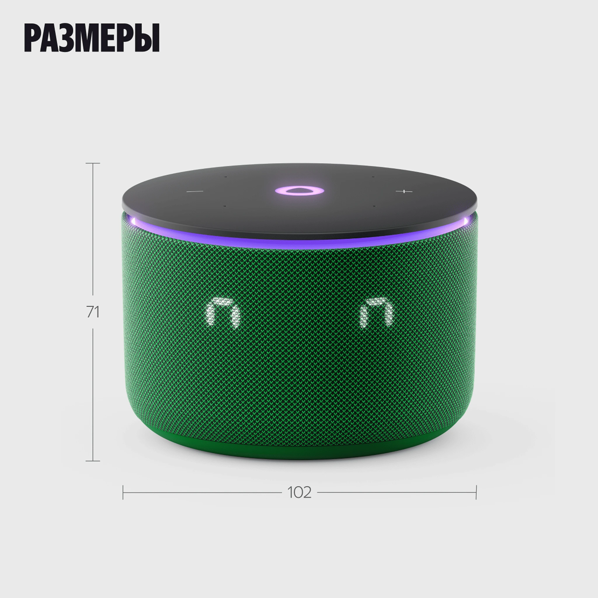Умная колонка Яндекс Станция Мини 3 Про с Zigbee зеленая