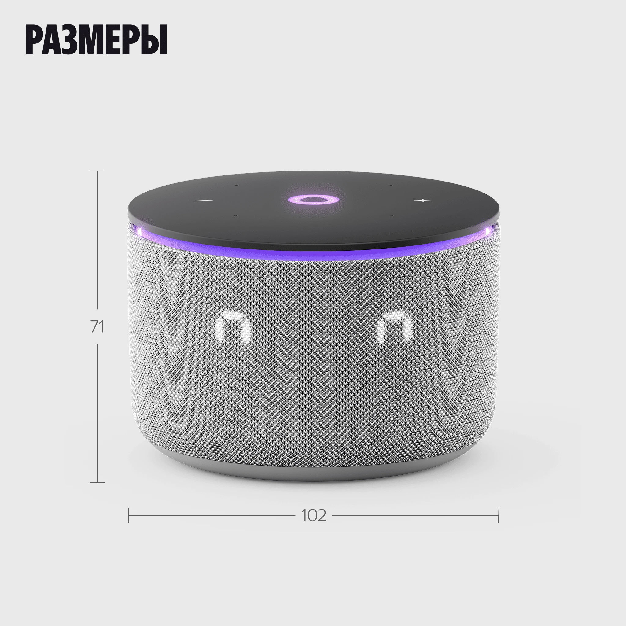 Умная колонка Яндекс Станция Мини 3 Про с Zigbee серая