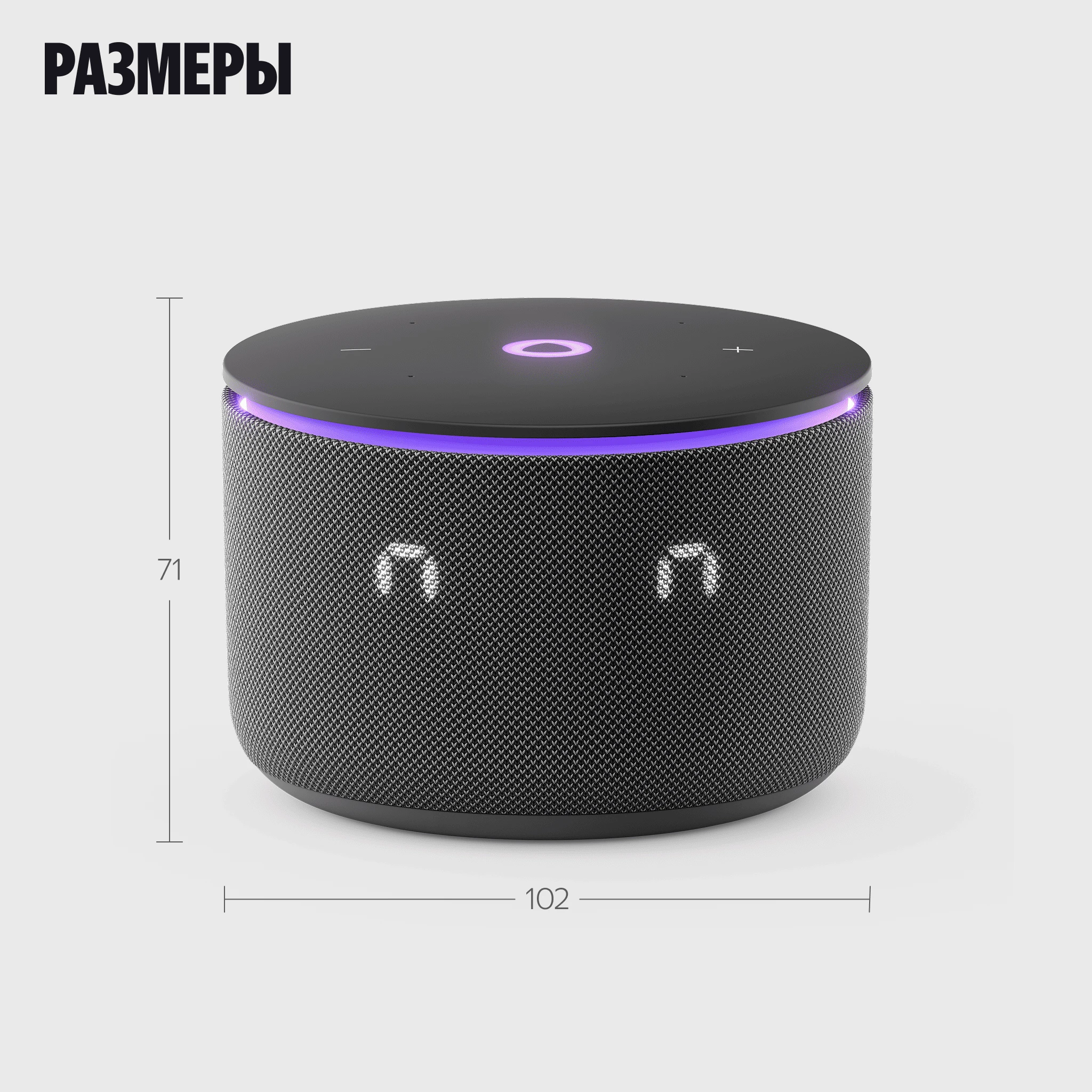 Умная колонка Яндекс Станция Мини 3 Про с Zigbee черная
